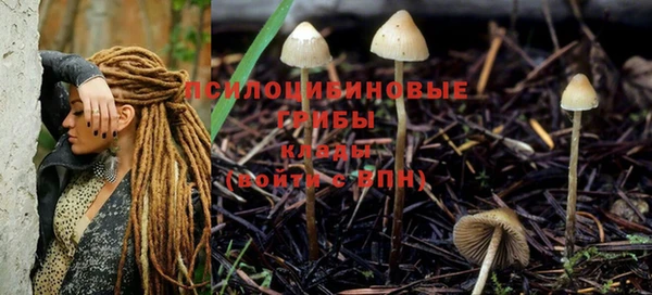 мефедрон Нефтегорск