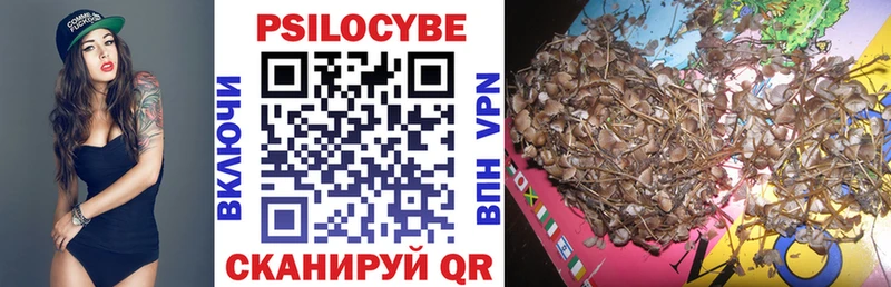 Псилоцибиновые грибы Magic Shrooms  Туран 